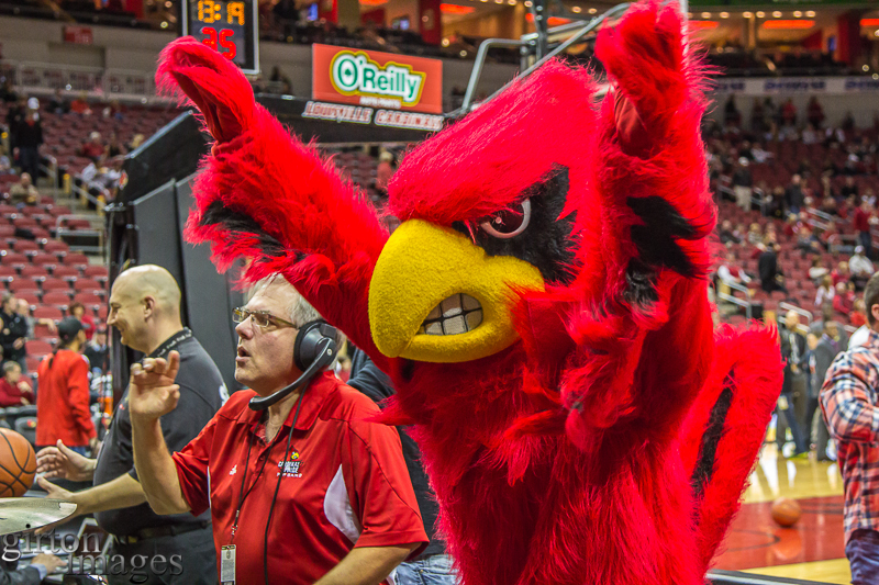 The Louisville Cardinal helps direct the pep band.